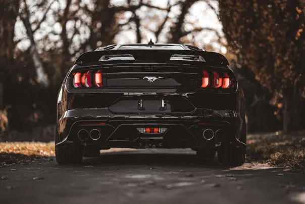 Kasyno Posh Bingo Aplikacja Android/iOS